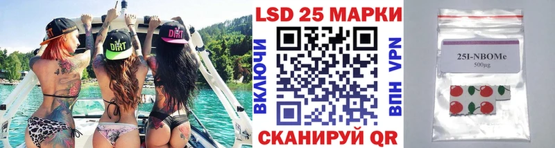 где найти   Кондопога  Марки N-bome 1,5мг 