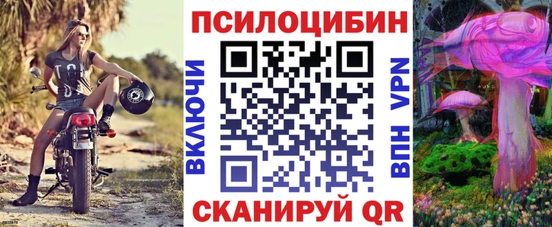 как найти наркотики  Кондопога  Псилоцибиновые грибы GOLDEN TEACHER 