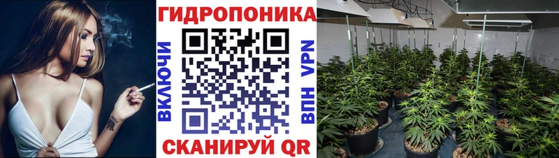 Канабис Amnesia  магазин    Кондопога 